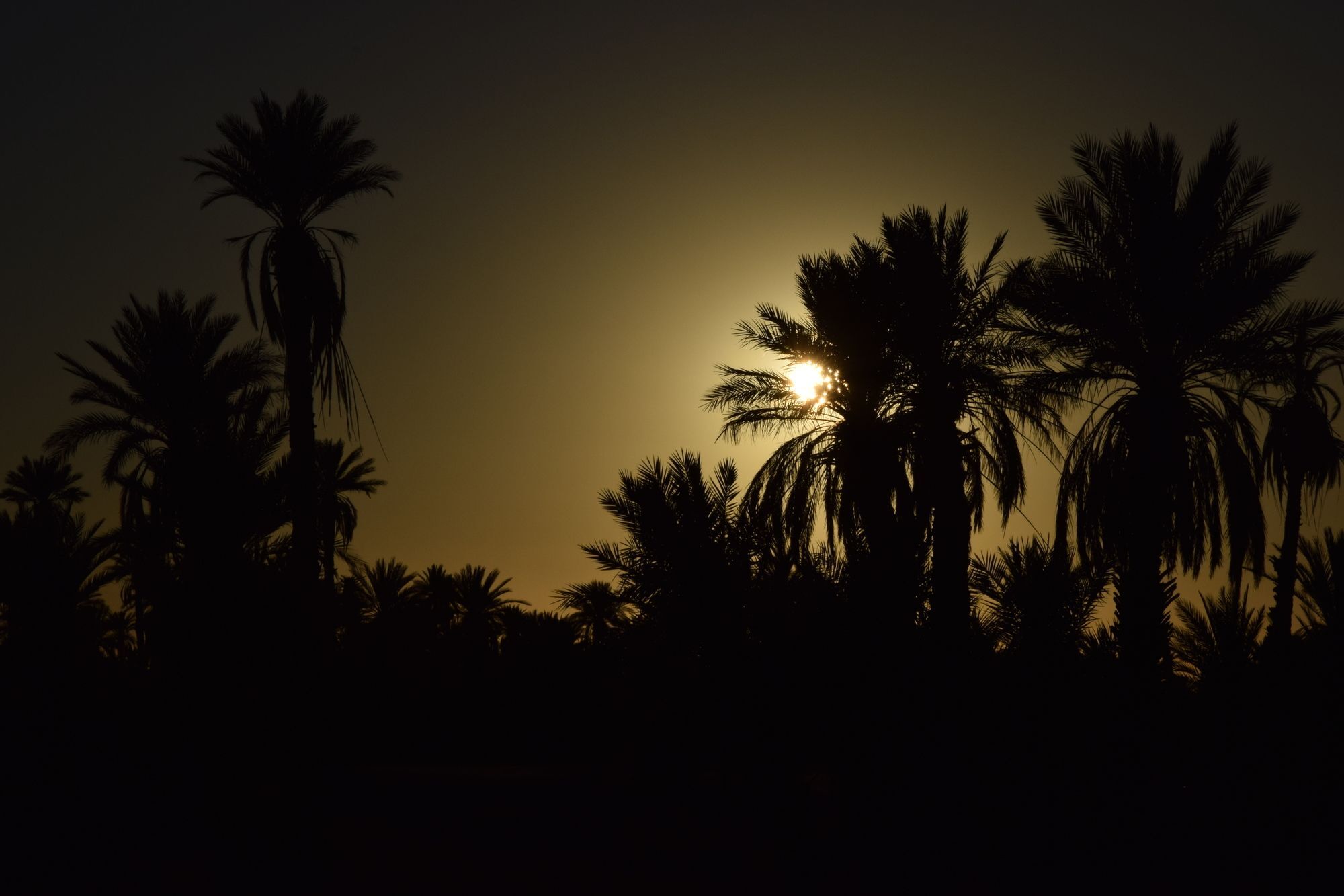 Hotel Carrefour Des Nomades Oulad Driss Esterno foto