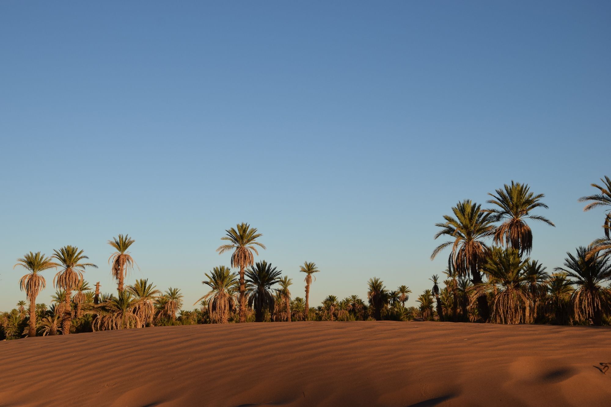 Hotel Carrefour Des Nomades Oulad Driss Esterno foto